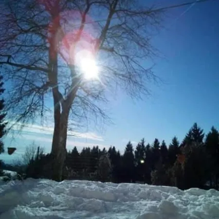 Daire House Rugiada Monolocale Conco