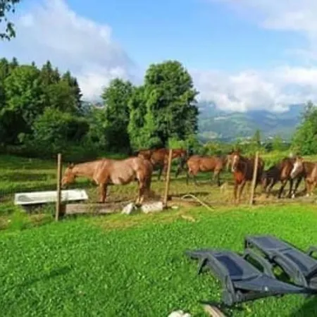 Daire House Rugiada Monolocale Conco